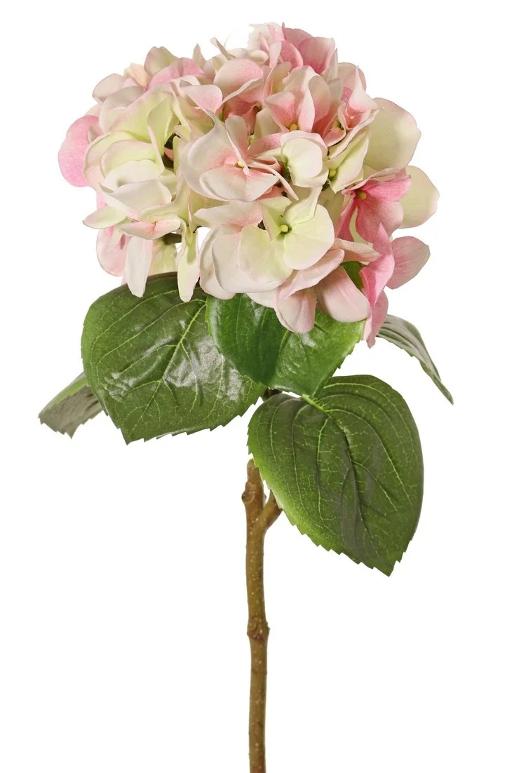 Hortensia licht roze - H60 cm