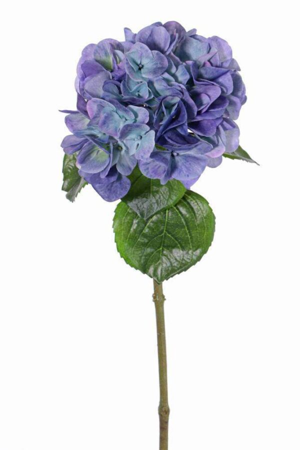 kunst hortensia
