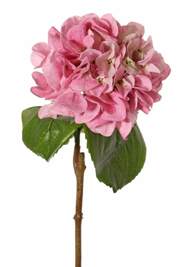 Hortensia roze - H60 cm