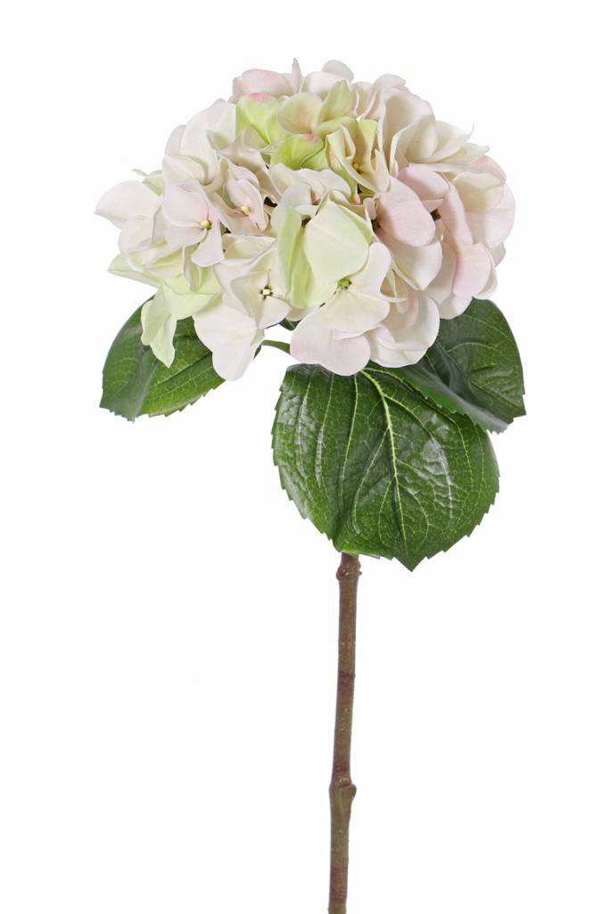 Hortensia wit - H60 cm