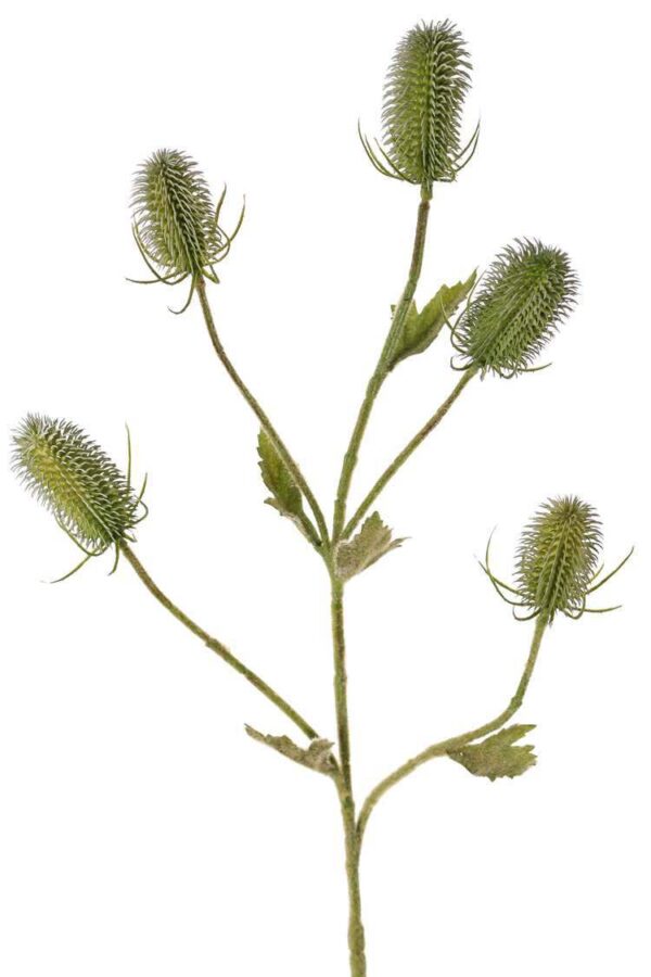 natuurlijke kunsttak