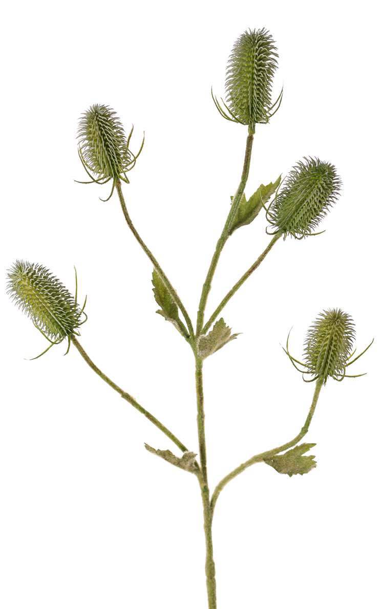 natuurlijke kunsttak