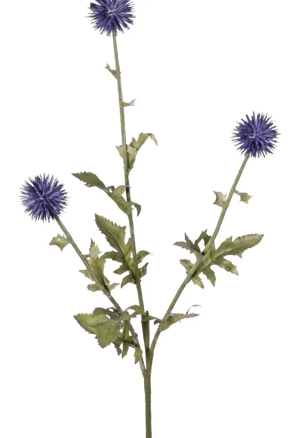 kogeldistel blauw