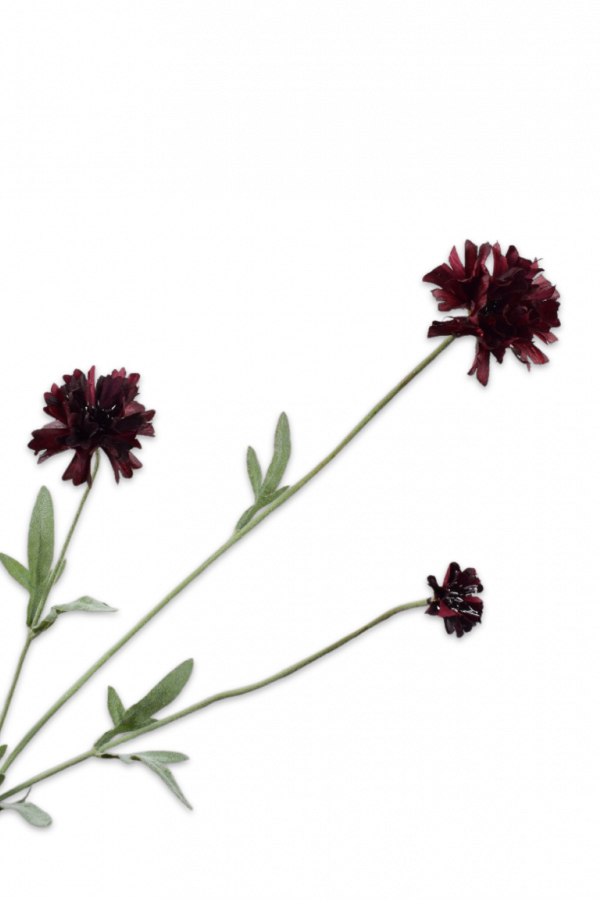 Korenbloem tak bordeaux paars 65 cm Silk-ka