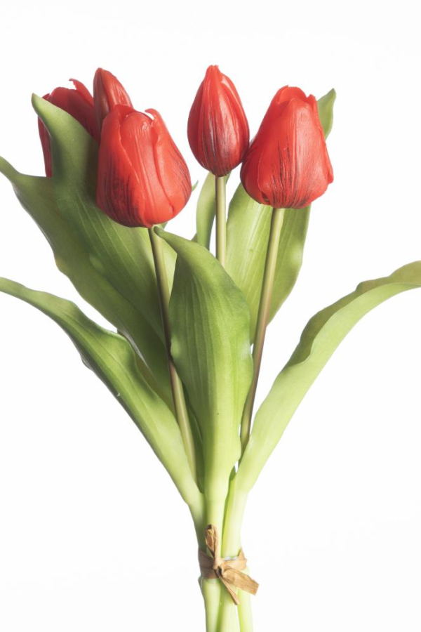 kunst tulpen rood