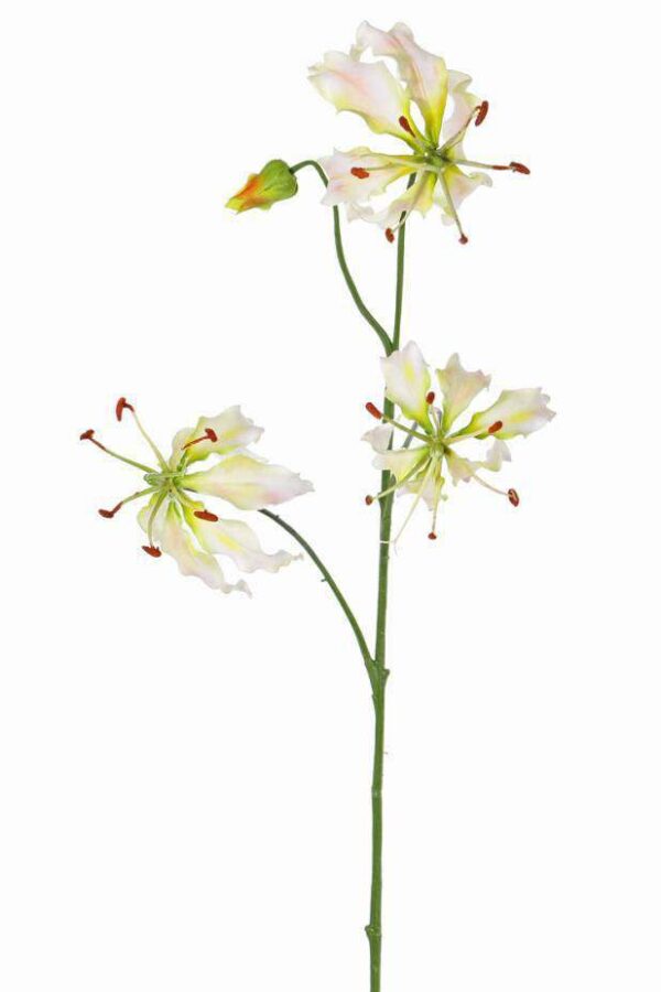 Kunst gloriosa