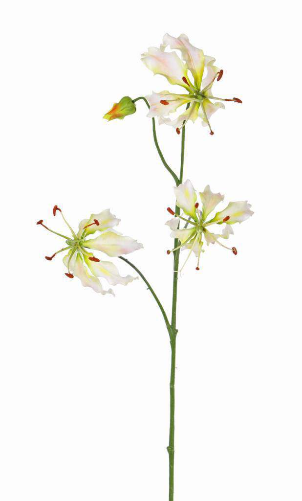 Kunst gloriosa