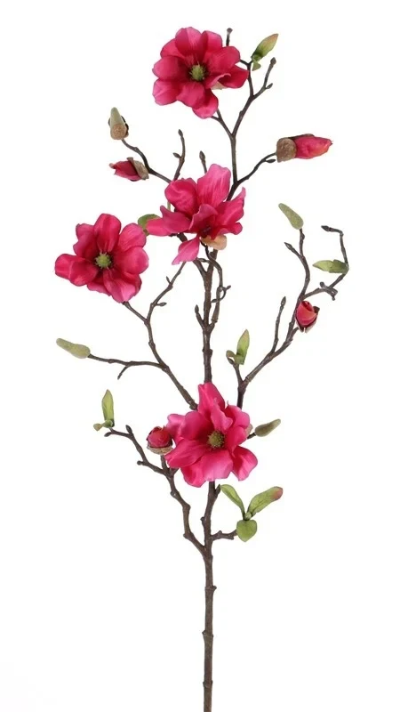 magnolia tak