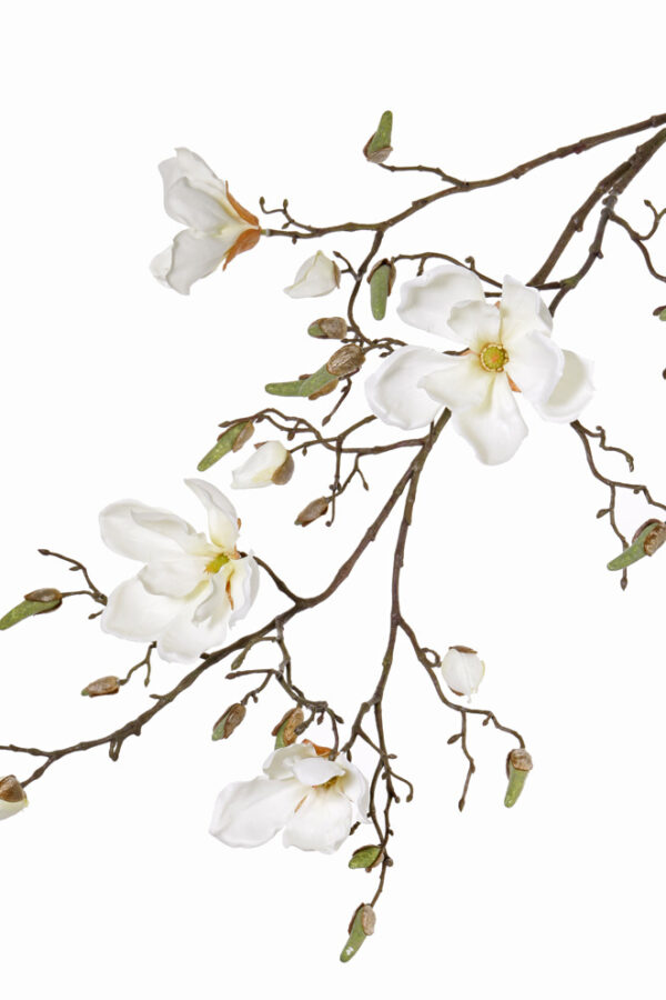 zijden magnolia