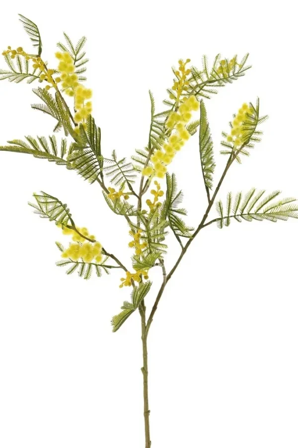 kunst mimosa tak
