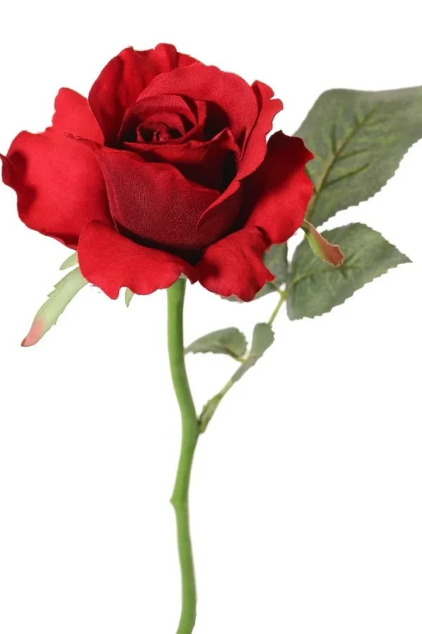 kunst roos rood