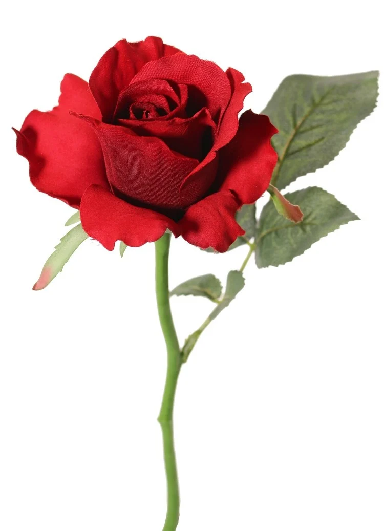 kunst roos rood