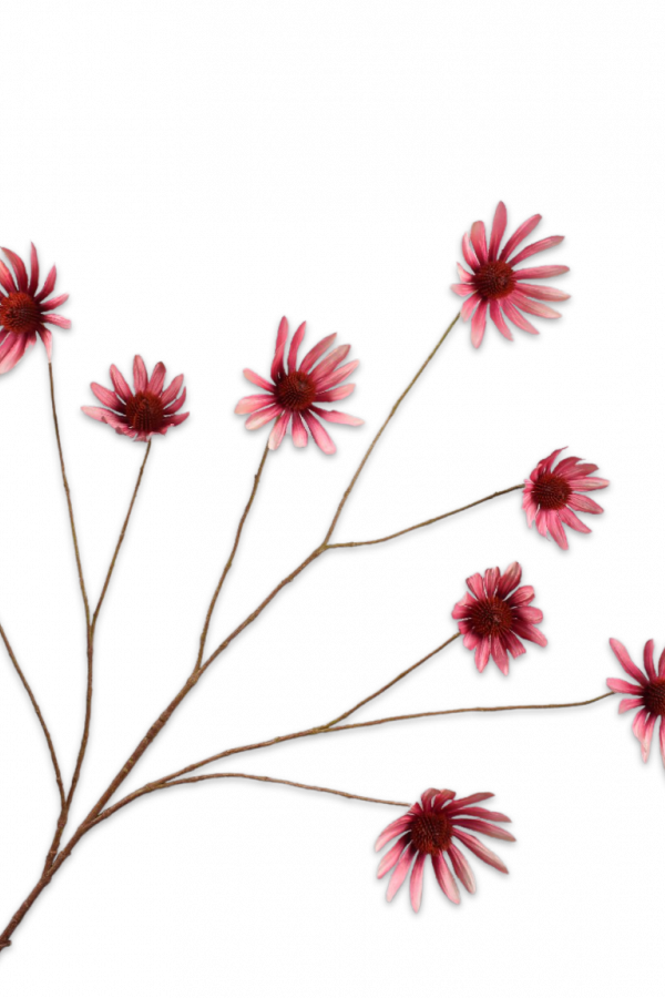Rudbeckia tak roze 117 cm Silk-ka