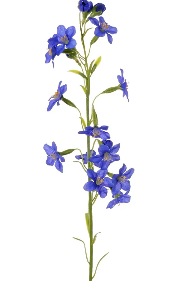 Bruidsbloem blauw - 65 cm