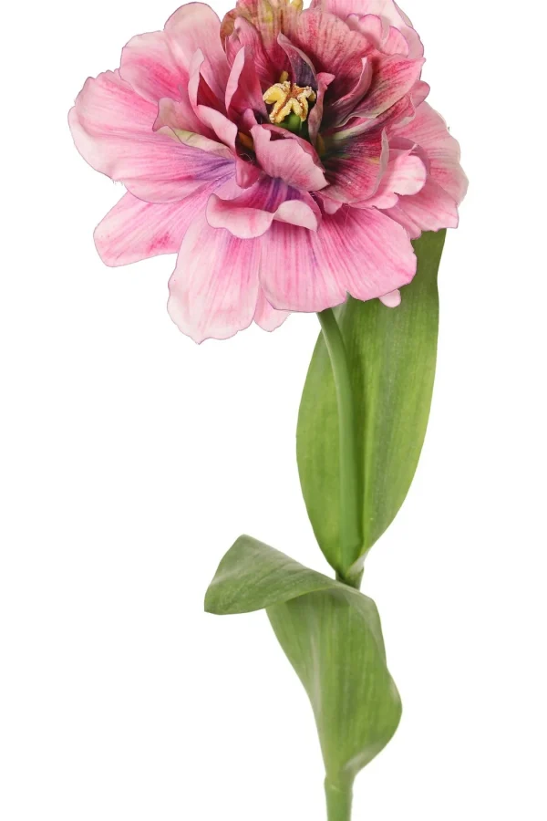 Tulp groot bloemig roze/paars H64 cm