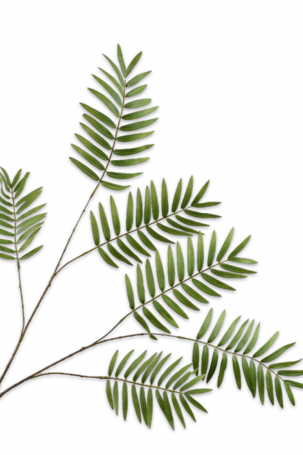 Varen tak groen 121 cm Silk-ka