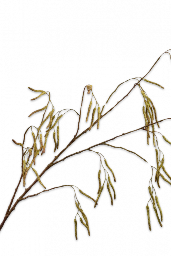 Wilgentak groen -H121 cm